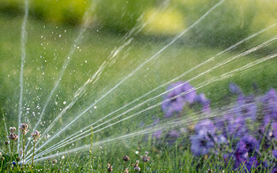 Summertime Tips to Save Water